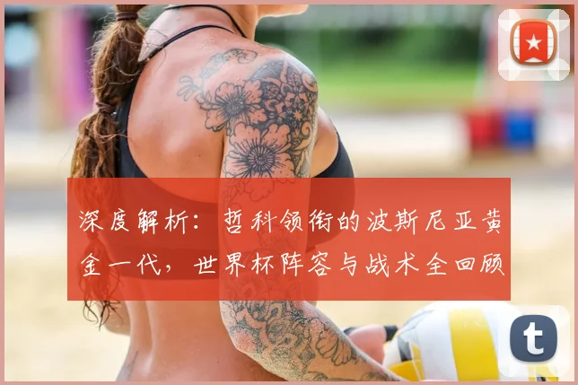 深度解析：哲科领衔的波斯尼亚黄金一代，世界杯阵容与战术全回顾
